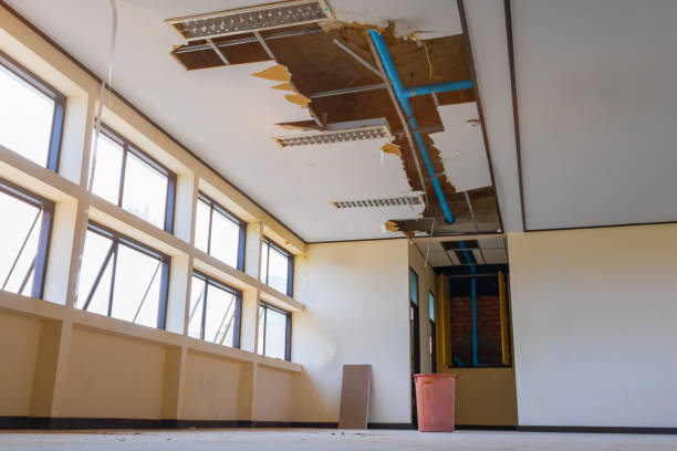 Best Flood damage cleanup  in Keowee Key, SC