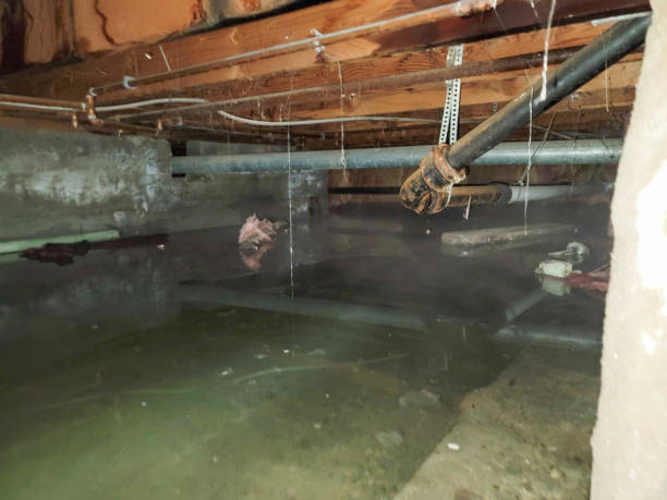 Best Water damage cleanup near me  in Keowee Key, SC