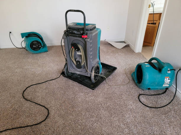 Best Fire Damage Restoration  in Keowee Key, SC