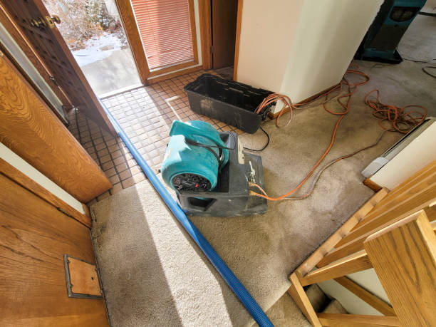 Trusted SC Water damage restoration Experts