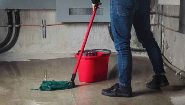 Best Basement water damage restoration  in Keowee Key, SC