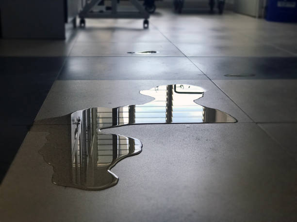 Best Professional water damage repair  in Keowee Key, SC