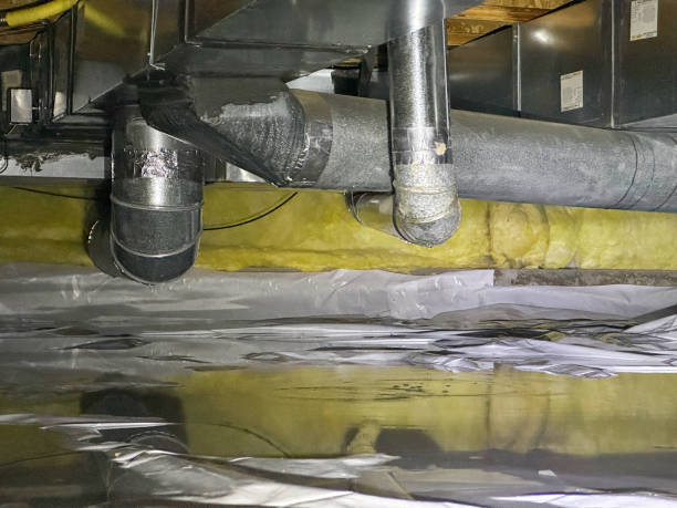 Best Local water damage restoration  in Keowee Key, SC