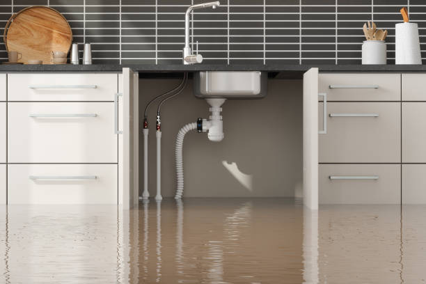 Best Basement water damage restoration  in Keowee Key, SC