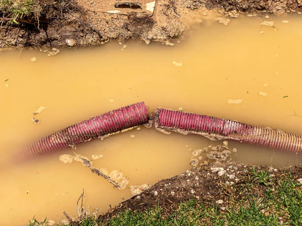 Best Water damage restoration near me  in Keowee Key, SC