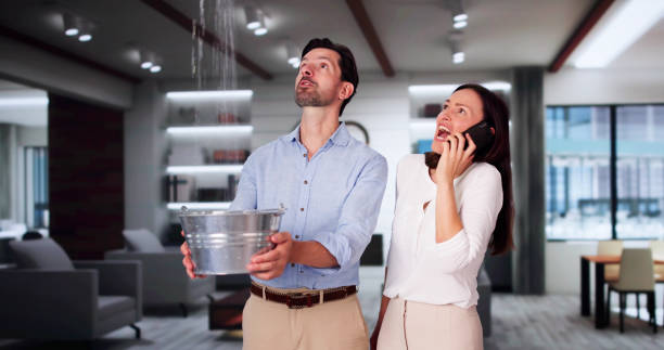 Best Mold removal after water damage  in Keowee Key, SC