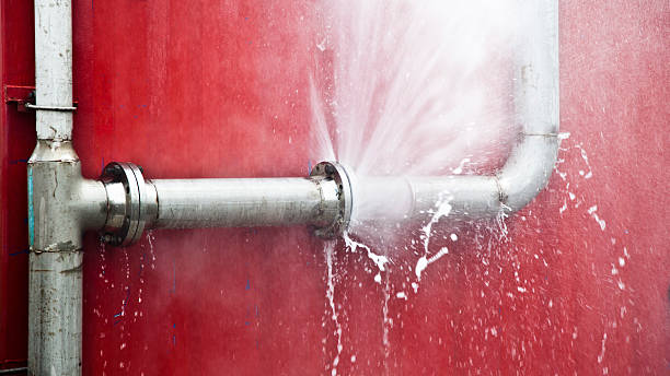 Reliable SC Water damage restoration Solutions