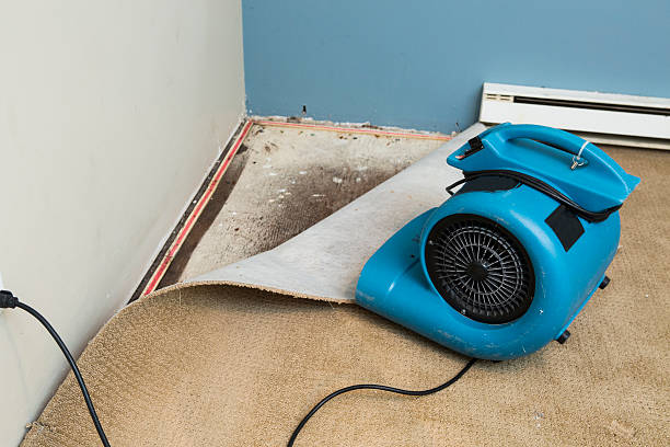 Best Sewage cleanup and water damage restoration  in Keowee Key, SC